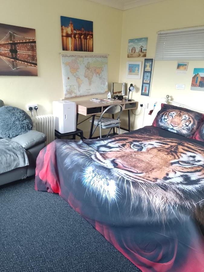 Studio Pad Leilighet Cardiff Eksteriør bilde