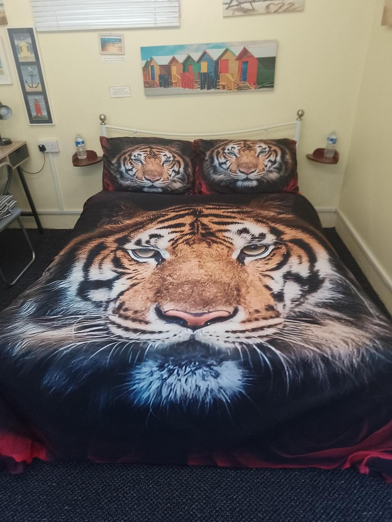 Studio Pad Leilighet Cardiff Eksteriør bilde